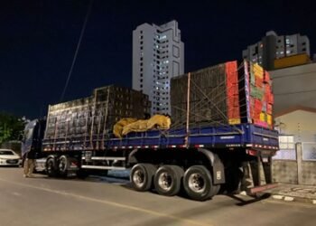 PRF apreende 24,5 mil pacotes de cigarros contrabandeados na Bahia