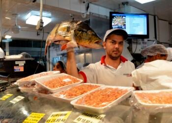 Peixes em seis estados da Amazônia têm contaminação por mercúrio