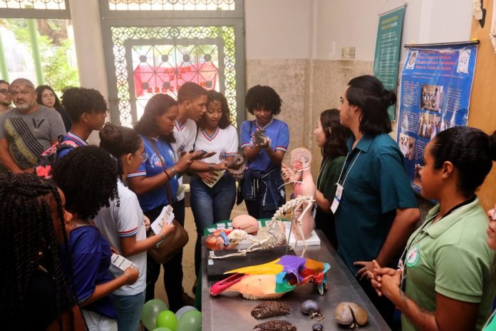 Estudantes na Feira de Profissões
