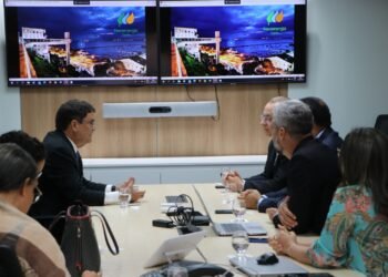 SDE dialoga com grupo Neoenergia sobre a importância da energia para o desenvolvimento econômico