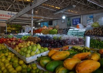 São João e Independência da Bahia: confira como será o funcionamento da Ceasa e mercados do Estado