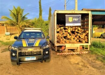 PRF apreende caminhão na Bahia com carga de angico sem documentação válida