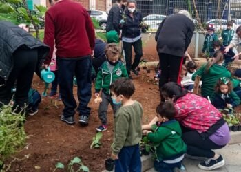 Alimentação escolar: projetos brasileiros são exemplo de boas práticas