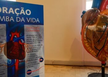 Internações por infarto aumentam mais de 150% no Brasil