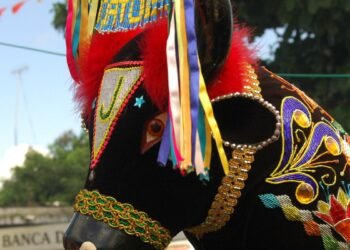 Iphan cria programa de bolsas para pesquisa do folclore