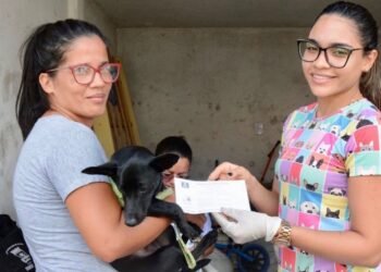 Prefeitura inicia cronograma de vacinação antirrábica na Baixada da Jaqueira – Prefeitura de Simões Filho