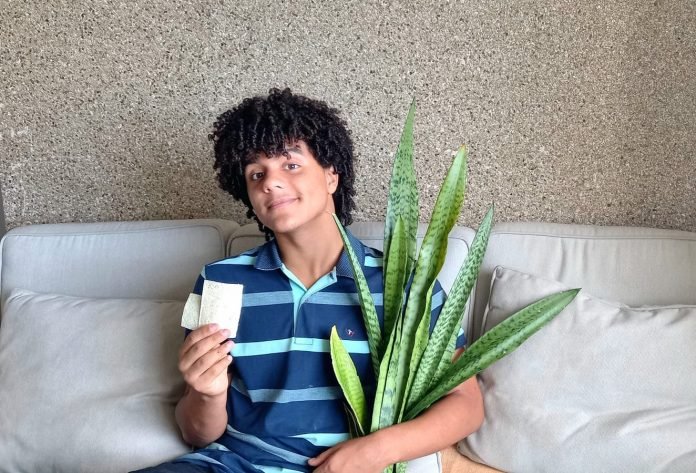 Estudante desenvolve papel com fibra da espada de São Jorge