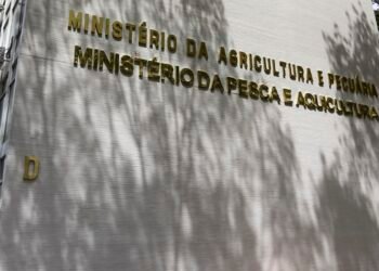 Governo orienta estados a declararem emergência zoossanitária