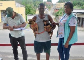 Jardim Eldorado, Loteamento São Miguel e Mapele recebem ação de vacinação antirrábica – Prefeitura de Simões Filho