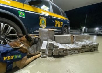 PRF apreende mais de 56 kg de maconha em ônibus na Bahia