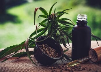 STJ autoriza três pacientes a cultivarem cannabis para fins medicinais