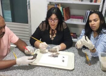 Arqueólogos de campus da Uneb descobrem pães mumificados datados da II Guerra Mundial