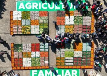 Publicada lei que institui o Programa de Aquisição de Alimentos