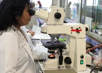 Prêmio chama atenção para desafios enfrentados por mulheres cientistas