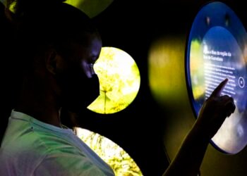 Apenas uma em quatro pessoas com deficiência conclui o ensino básico