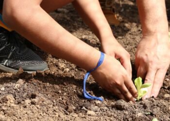 Prefeitura de SP abre vagas para mães de alunos da rede municipal
