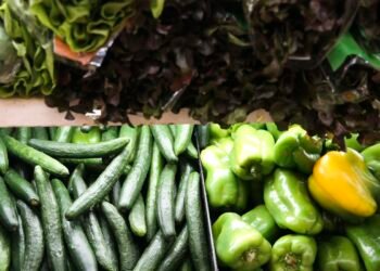 Pesquisa mostra que alimentos na mesa não refletem biodiversidade