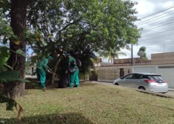 Prefeitura segue com ações de limpeza urbana em diversas localidades – Prefeitura de Simões Filho