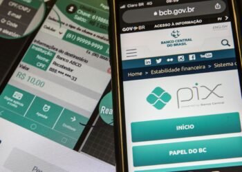 Consumidor poderá fazer compras com crédito via Pix, diz Campos Neto