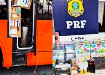 Carga de produtos contrabandeados e proibidos é apreendida na Bahia