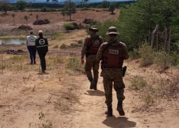 Cippa Lençóis apreende armas e desarticula grupo de caçadores