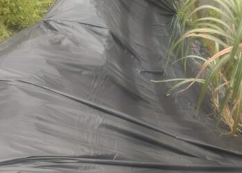 Defesa Civil realiza ações contínuas de prevenção durante o período chuvoso – Prefeitura Municipal de Candeias.