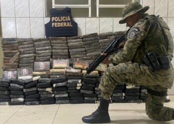 PF e PM prendem 7 pessoas e apreendem mais de 430 kg de cocaína em caixas de manga