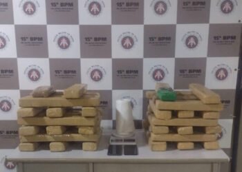PM prende motorista e apreende 40 kg de maconha no interior baiano