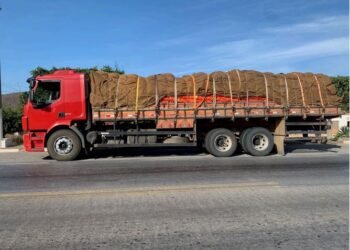 PRF flagra caminhão com 15 toneladas de cebola sem nota fiscal na Bahia