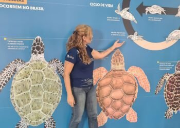 Projeto Albatroz abre centro de educação ambiental em Cabo Frio