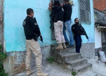 Treze pessoas ligadas ao tráfico de drogas e homicídios são presas pela PM