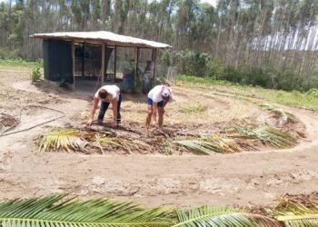 Comunidade rural de Catu se prepara para uma agricultura familiar sustentável e produtiva