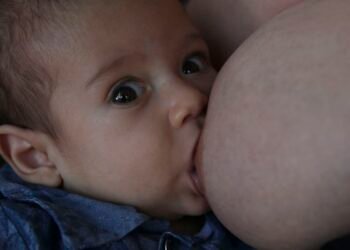 Bebês e gestantes precisam de comidas leves e mais líquido no calor