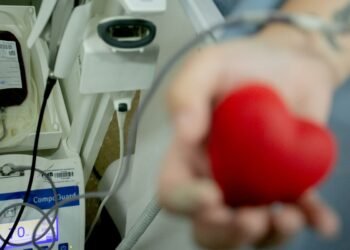 App que incentiva doação de sangue já pode ser baixado