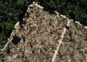 COP28 aprova fundo climático de perdas e danos para países vulneráveis