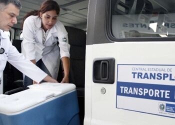 Lei institui política para incentivar doação e transplante de órgãos
