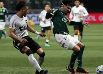 Tentando retomar caminho das vitórias, líder Botafogo recebe Palmeiras