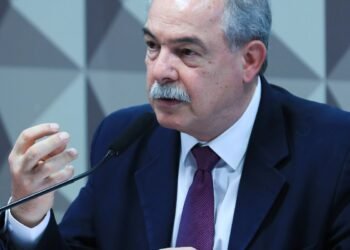 Estado forte ajudará Brasil em janela de oportunidades, diz Mercadante