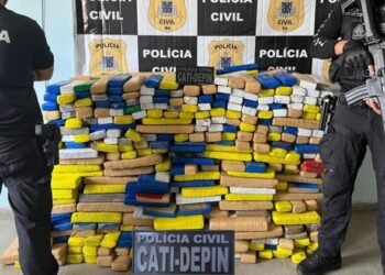 Polícia baiana apreende 600 kg de maconha em caminhão baú