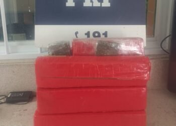 Cão da PRF encontra droga em ônibus interestadual no interior baiano