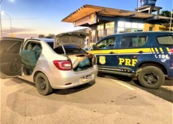 PRF apreende 205 Kg de maconha in natura na Bahia