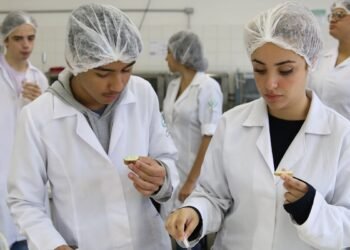 Educação técnica está entre investimentos mais rentáveis, diz pesquisa