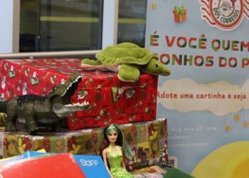 Governo reforça campanha do Papai Noel dos Correios