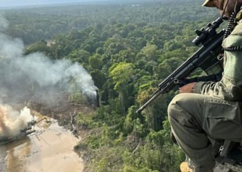 PF, Ibama e polícia colombiana desmobilizam garimpo na fronteira