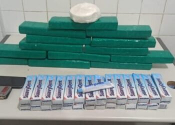 Cão da PM encontra pastas de dente com cocaína na Bahia; dono foi preso