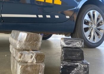 PRF prende passageiro por tráfico de drogas no interior baiano