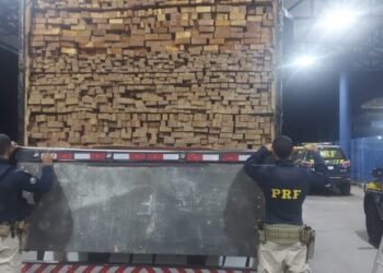 PRF apreende carga de madeira nativa transportada ilegalmente na Bahia