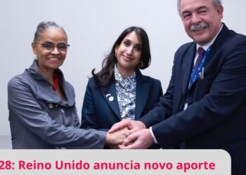 Reino Unido anuncia mais R$ 215 milhões para o Fundo Amazônia