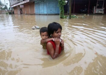 Mudanças climáticas podem agravar quadro de doenças como dengue e zika