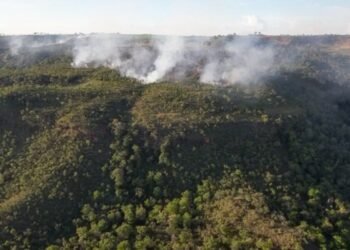 Incêndio atinge divisa do Santuário de Elefantes em Mato Grosso